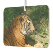 tijger luchtverfrisser (Links)