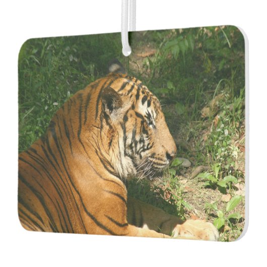 tijger luchtverfrisser (Links)