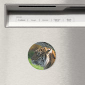 tijger magneet (Insitu (Vaatwasser))