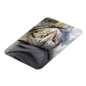 tijger magneet (Linkerzijde)