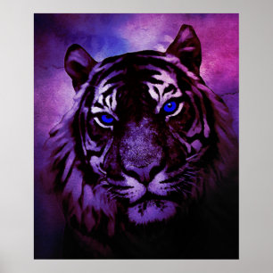 Tijger met blauwe ogen op Paarse achtergrond Poster