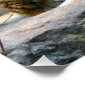 Tijger Met Welp Perfect Poster (Hoek)