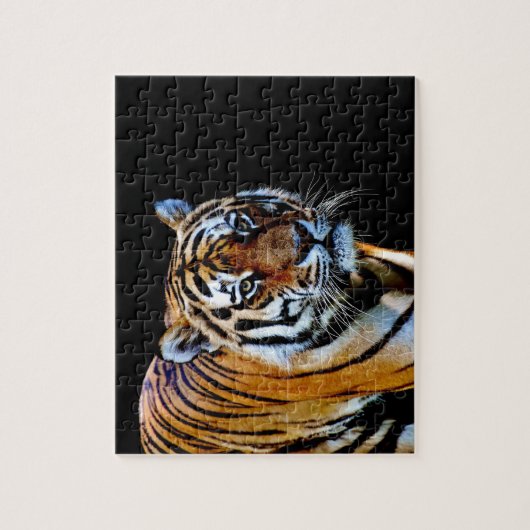 Tijger met zwarte achtergrond legpuzzel (Verticaal)