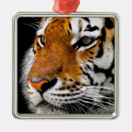 tijger metalen ornament (Voorkant)