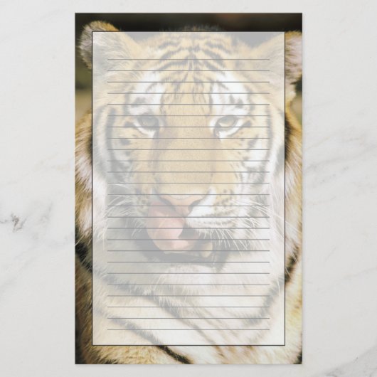 Tijger Michigan Zoo Briefpapier (Voorkant)