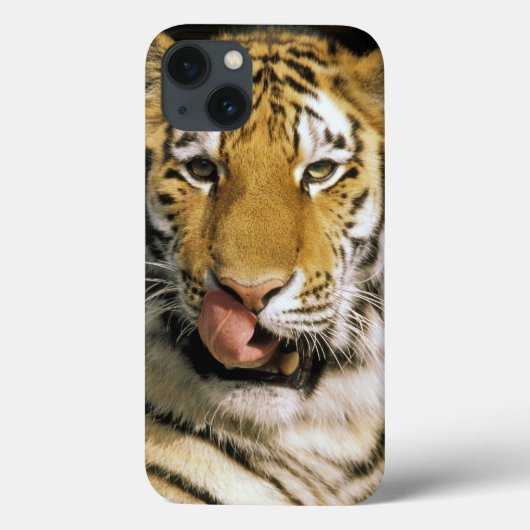 Tijger Michigan Zoo Case-Mate iPhone Case (Achterkant)