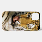 Tijger Michigan Zoo Case-Mate iPhone Case (Achterkant (horizontaal))