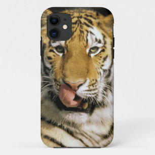 Tijger Michigan Zoo Case-Mate iPhone Case