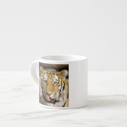Tijger Michigan Zoo Espresso Kop (Links)
