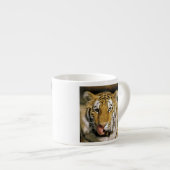 Tijger Michigan Zoo Espresso Kop (Voorkant rechts)