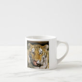 Tijger Michigan Zoo Espresso Kop (Rechts)