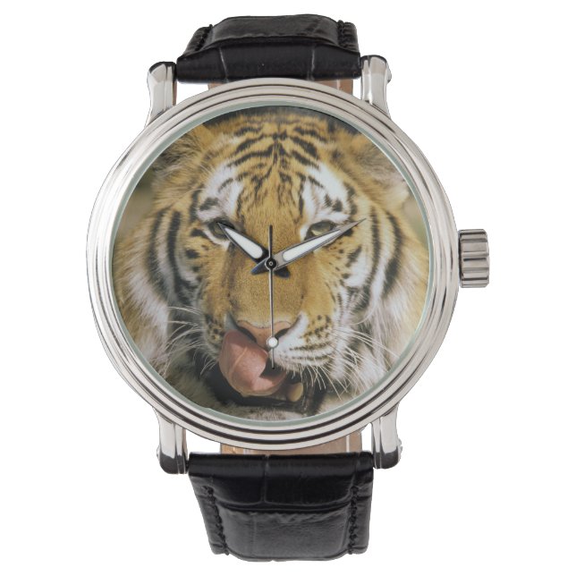 Tijger Michigan Zoo Horloge (Voorkant)