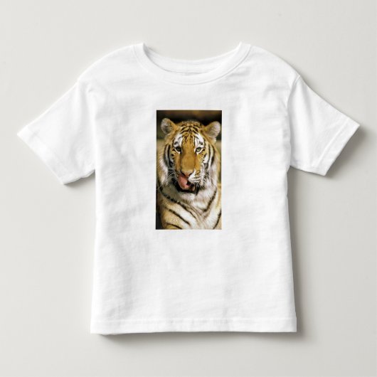 Tijger Michigan Zoo Kinder Shirts (Voorkant)