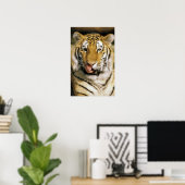 Tijger Michigan Zoo Poster (Thuiskantoor)