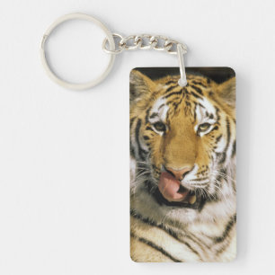 Tijger Michigan Zoo Sleutelhanger