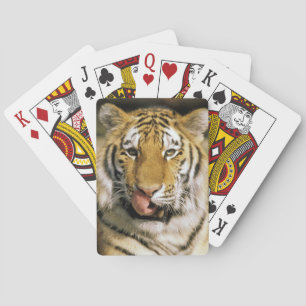 Tijger Michigan Zoo Speelkaarten