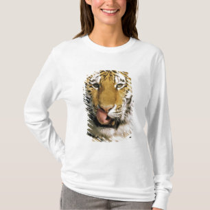 Tijger Michigan Zoo T-shirt