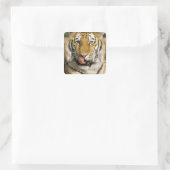 Tijger Michigan Zoo Vierkante Sticker (Tas)