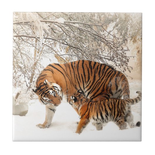 Tijger Moeder en baby Tegeltje (Voorkant)