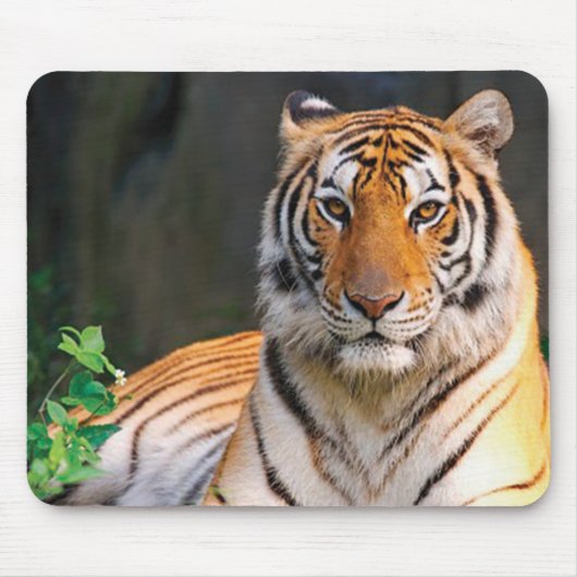 Tijger Mouse Mat Muismat (Voorkant)