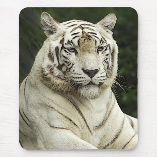 tijger muismat (Voorkant)
