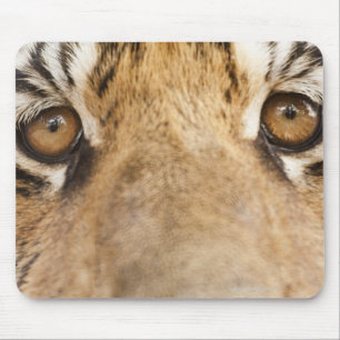 tijger muismat