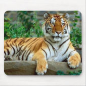 tijger muismat (Voorkant)