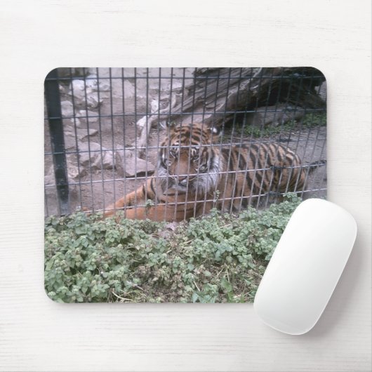 tijger muismat (Met muis)