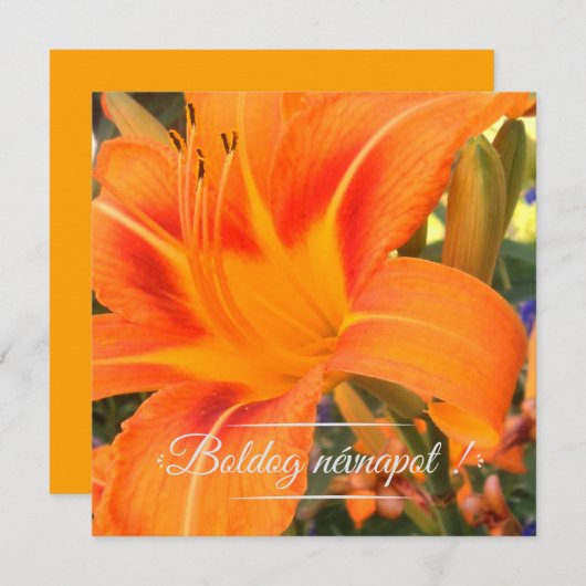 Tijger - naamdag  kaart (Voorkant / Achterkant)