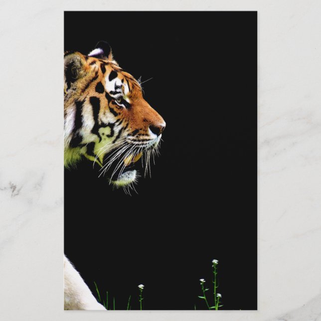Tijger nadert - Wild Animal kunstwerk (Voorkant)