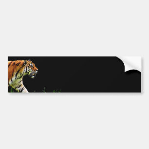 Tijger nadert - Wild Animal kunstwerk Bumpersticker