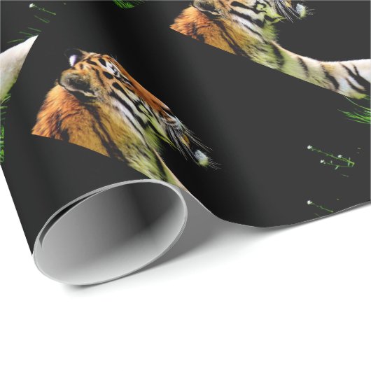 Tijger nadert - Wild Animal kunstwerk Cadeaupapier (Rol Hoek)