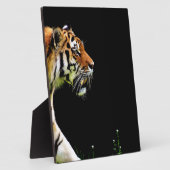 Tijger nadert - Wild Animal kunstwerk Fotoplaat (Zijkant)