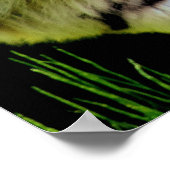 Tijger nadert - Wild Animal kunstwerk Poster (Hoek)