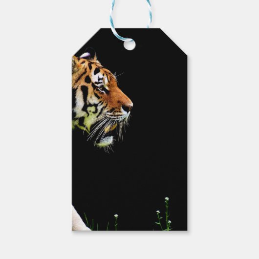 Tijger Nadert - Wilde Dieren Kunstwerk Cadeaulabel (Voorkant)