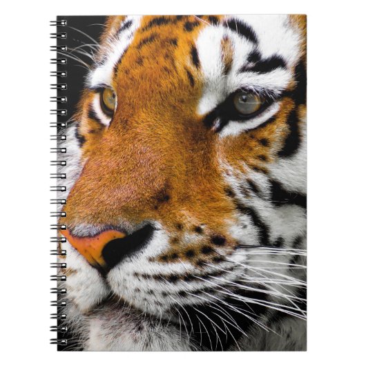 Tijger Notitieboek (Voorkant)