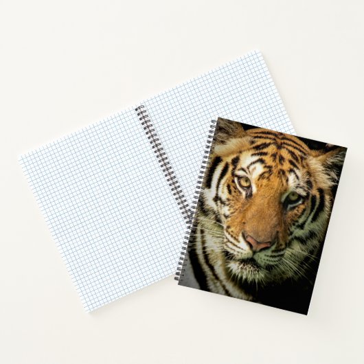 tijger notitieboek (Binnen)