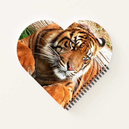 tijger notitieboek (Achterkant)