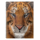 Tijger Notitieboek (Voorkant)