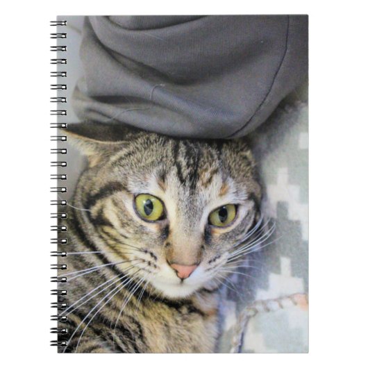 tijger notitieboek (Voorkant)
