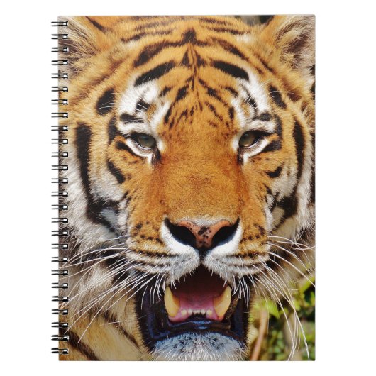 Tijger Notitieboek (Voorkant)