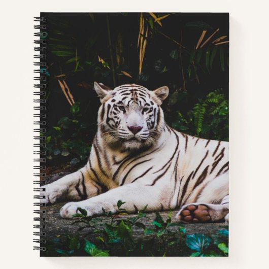 tijger notitieboek (Voorkant)