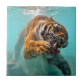 Tijger onderwater tegeltje (Voorkant)