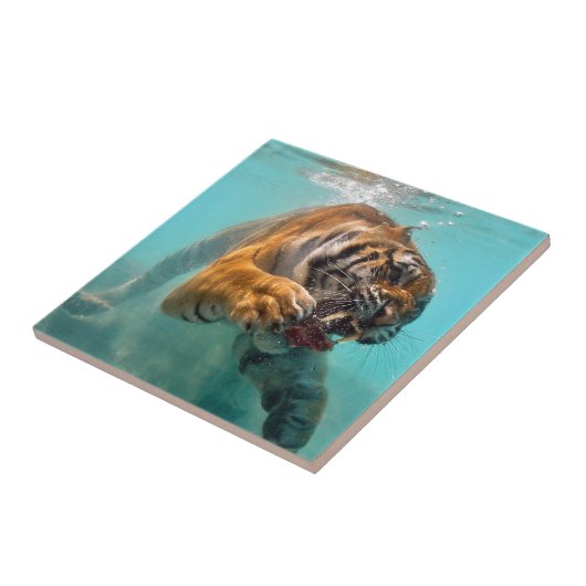 Tijger onderwater tegeltje (Zijkant)