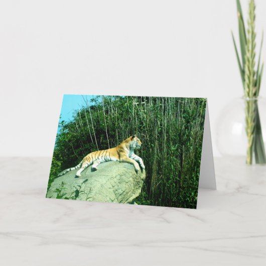 Tijger ontspant feestdagen kaart (Voorkant)