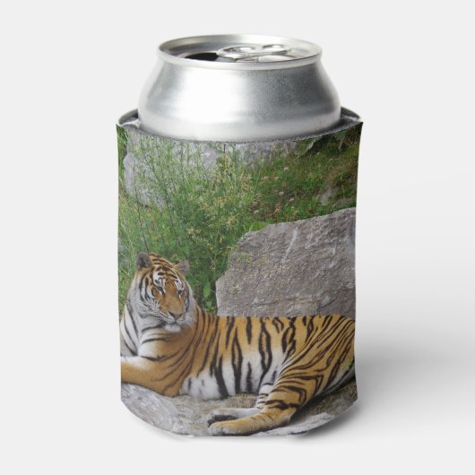 Tijger op een rots blikjeskoeler (Blikje Voorkant)