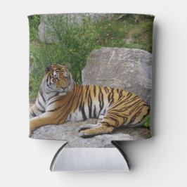 Tijger op een rots blikjeskoeler