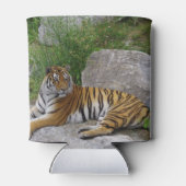 Tijger op een rots blikjeskoeler (Achterkant)