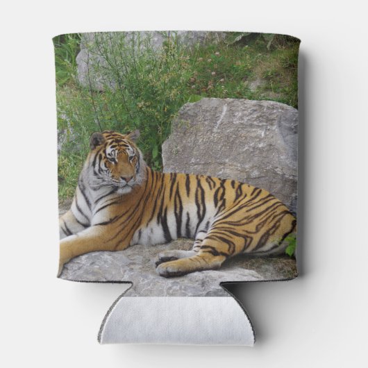 Tijger op een rots blikjeskoeler (Achterkant)