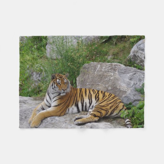 Tijger op een rots fleece deken (Voorkant (Horizontaal))